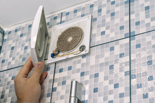 Air Duct Mold Removal in Morris, IL