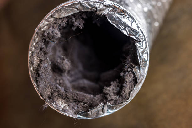 Best Ventilation Cleaning Services  in Morris, IL